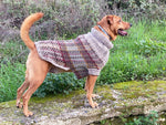 Knitted tartan dog sweater