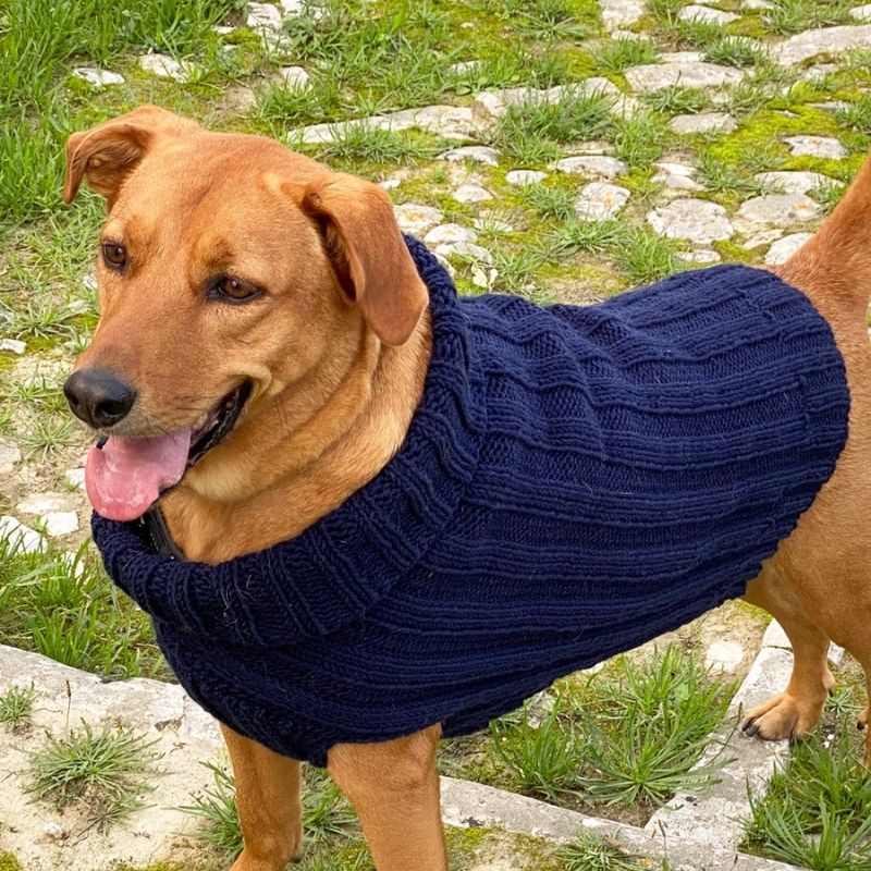Knitted Dog Sweater Pattern - Handy Little Me Shop
