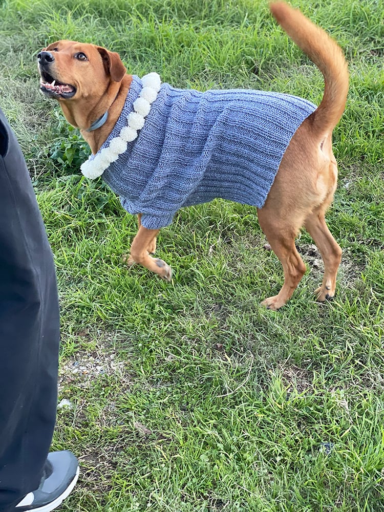 Christmas Dog Sweater Pattern - Handy Little Me Shop