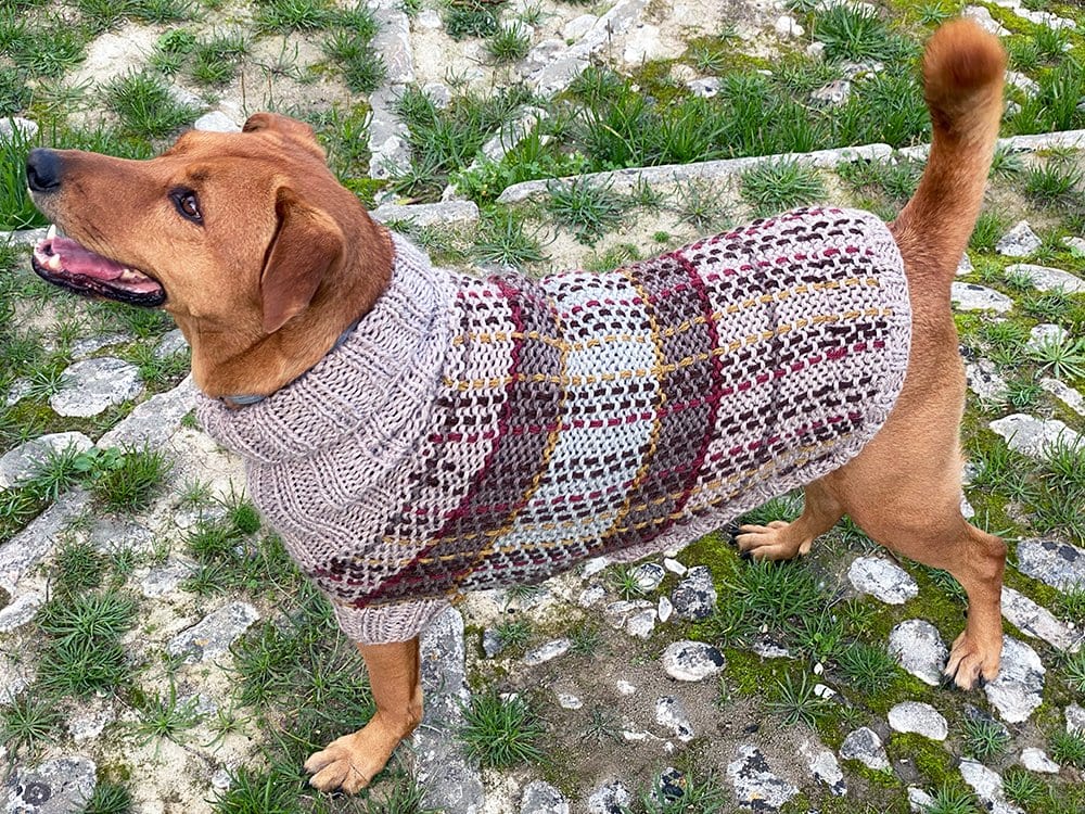Fraser Tartan Dog Sweater Pattern - Handy Little Me Shop