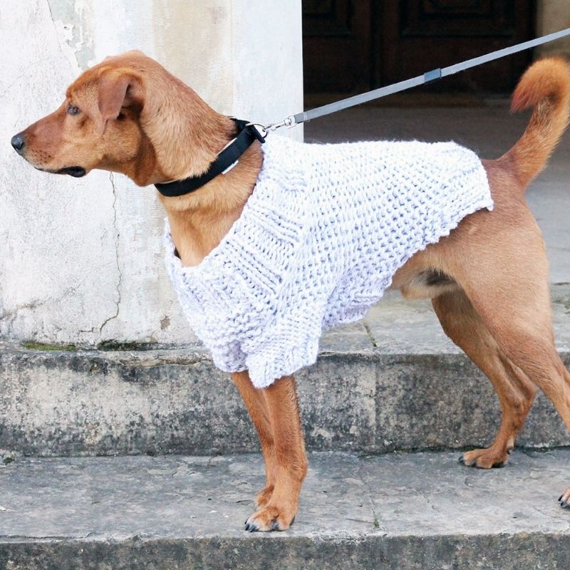 Large Dog Sweater Knitting Pattern - Handy Little Me Shop