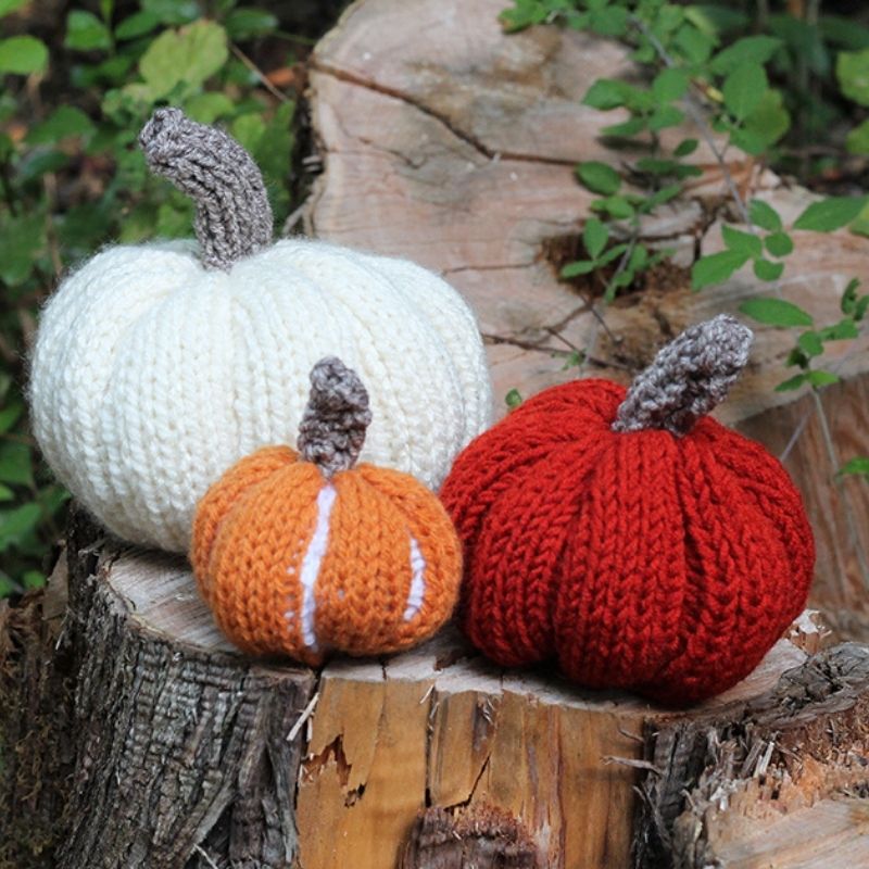 Pumpkin Knitting Pattern Set