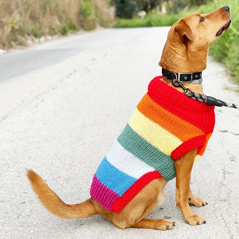 Rainbow Dog Sweater Knitting Pattern - Handy Little Me Shop