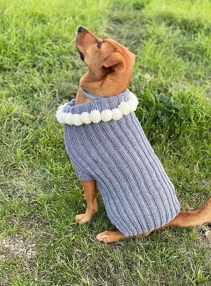 Ribbed knit dog sweater