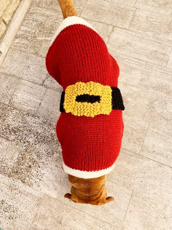 Santa Claus Dog Sweater Knitting Pattern - Handy Little Me Shop