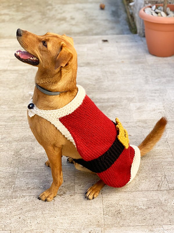 Dog Sweater Pattern Bundle - Handy Little Me Shop