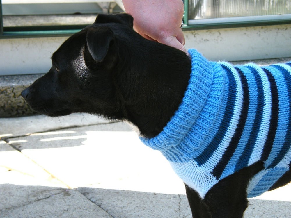 Dog Sweater Knitting Pattern - Handy Little Me Shop