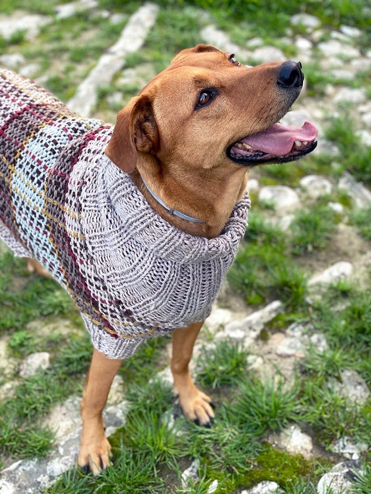 Fraser Tartan Dog Sweater Pattern - Handy Little Me Shop