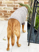 Baby Yoda Dog Sweater Knitting Pattern