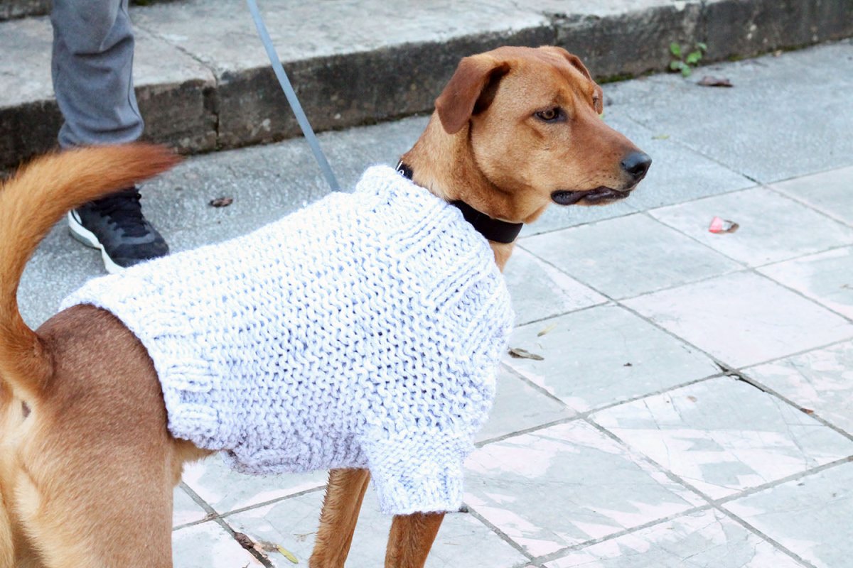 Large Dog Sweater Knitting Pattern - Handy Little Me Shop