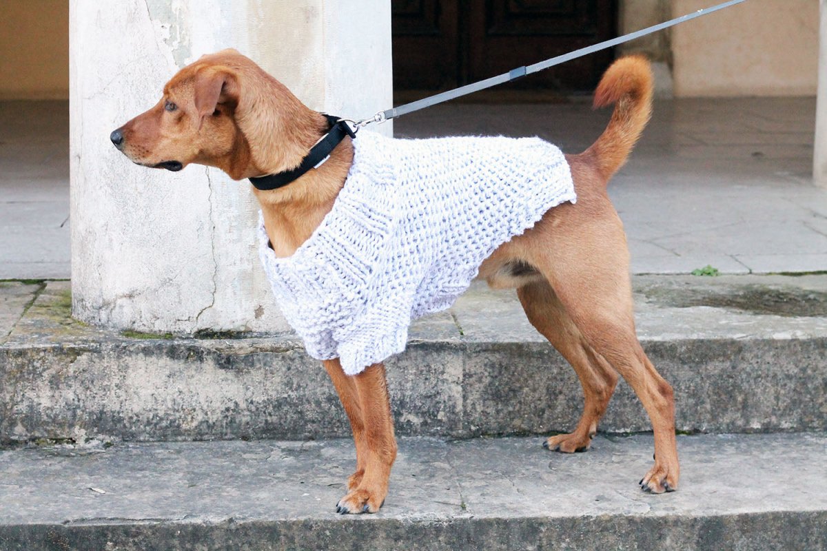 Dog Sweater Pattern Bundle - Handy Little Me Shop