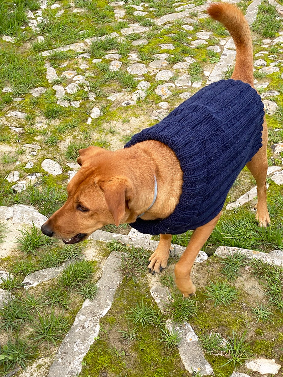 Knitted Dog Sweater Pattern - Handy Little Me Shop
