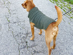 dog jumper knit with DK yarn