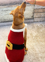 knitted dog sweater with belt