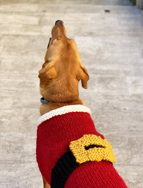 Santa Claus Dog Sweater Knitting Pattern - Handy Little Me Shop
