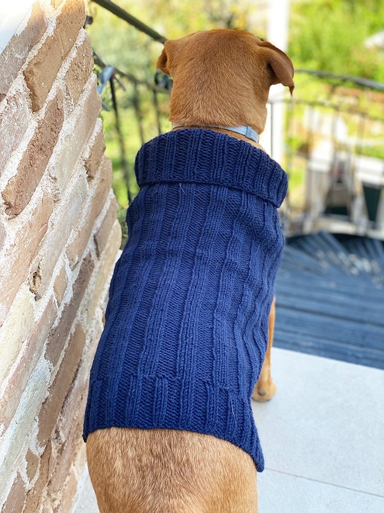 dog sweater knitting pattern