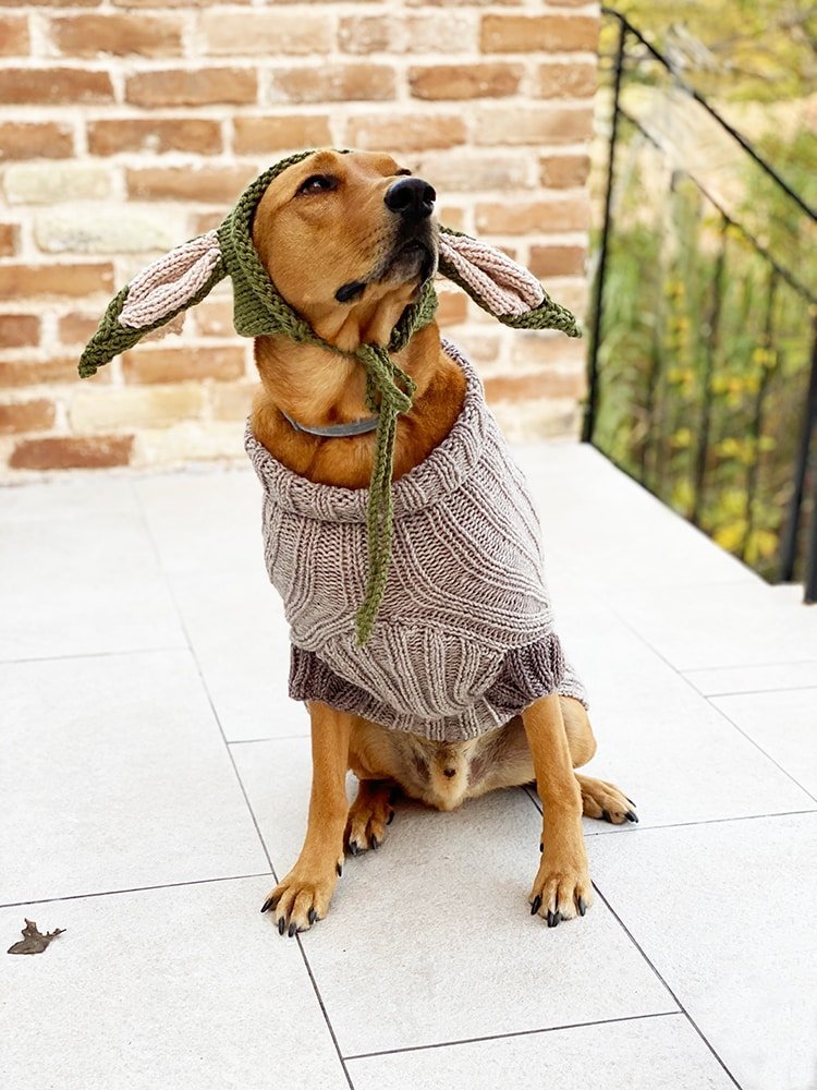 Baby Yoda Dog Sweater Knitting Pattern - Handy Little Me Shop
