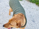 dog sweater knit with a turtleneck