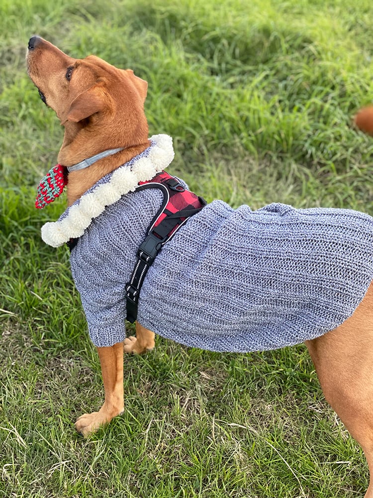 Christmas Dog Sweater Pattern - Handy Little Me Shop