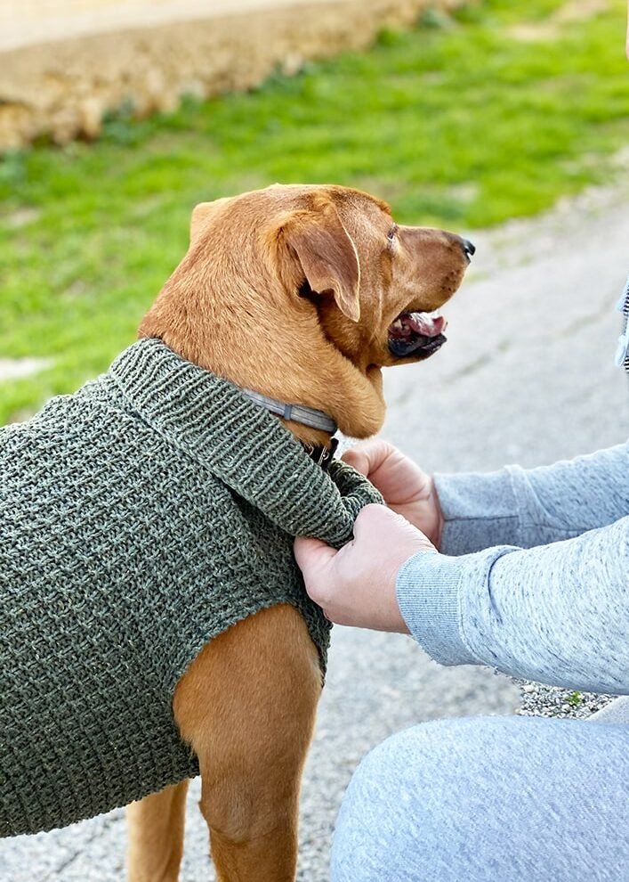 Dog Sweaters - Free knitting patterns and crochet patterns by
