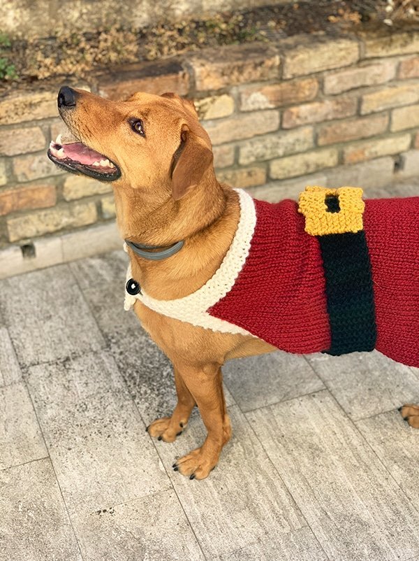 Santa Claus Dog Sweater Knitting Pattern - Handy Little Me Shop