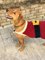 dog wearing a knitted Santa Clause coat