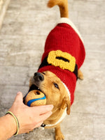 dog Christmas sweater with belt