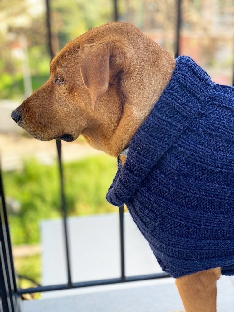Knitted Dog Sweater Pattern - Handy Little Me Shop