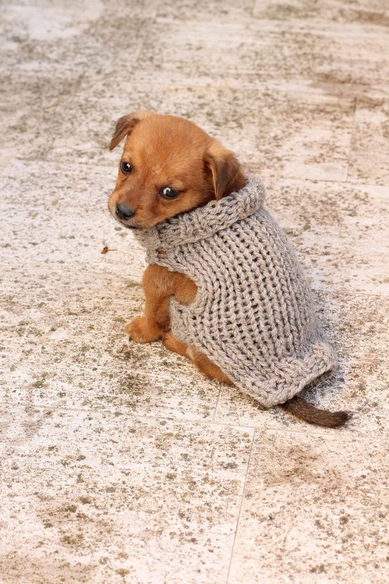 Puppy Sweater Knitting Pattern - Handy Little Me Shop