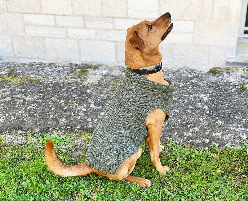 large dog sweater knit in double knitting yarn
