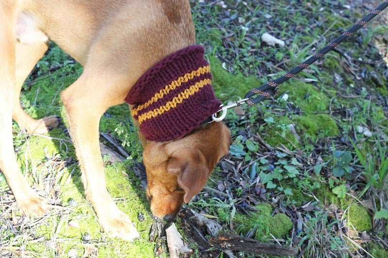 Dog Cowl Knitting Pattern