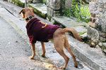 Mischief Managed Dog Sweater Knitting Pattern