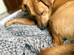 dog sleeping on a hand knit throw blanket
