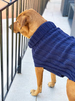 pet coat knitting pattern