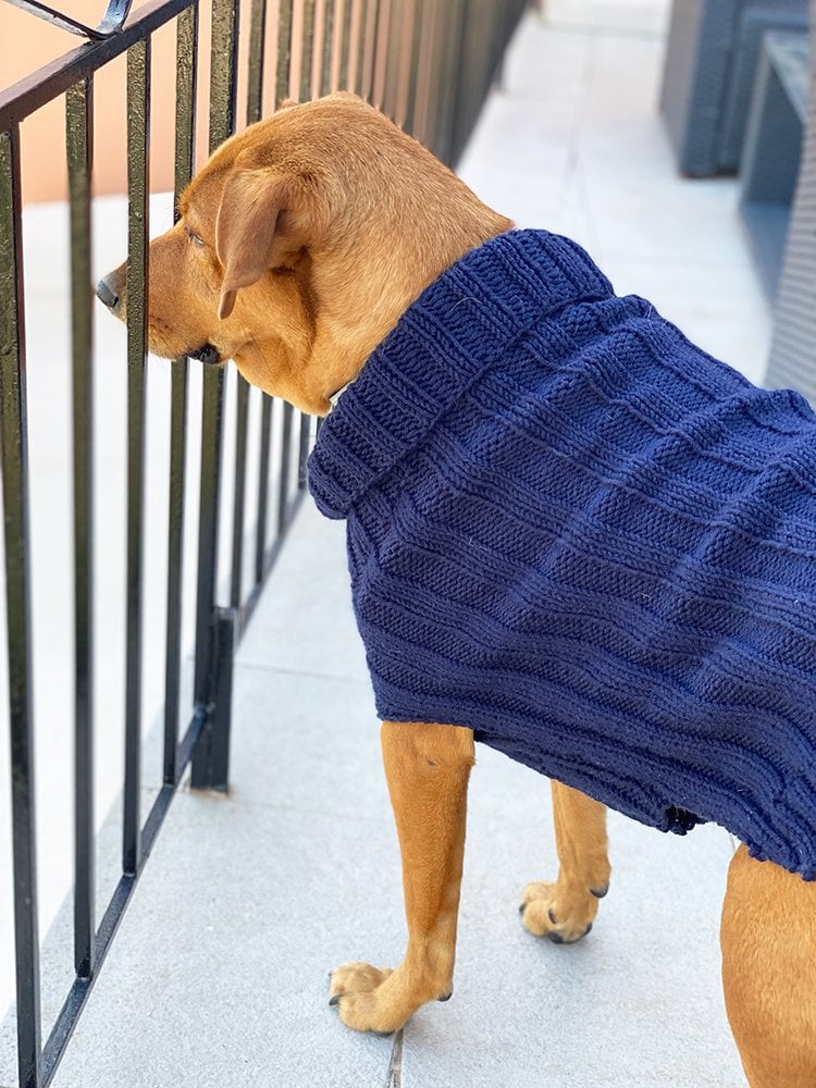 pet coat knitting pattern