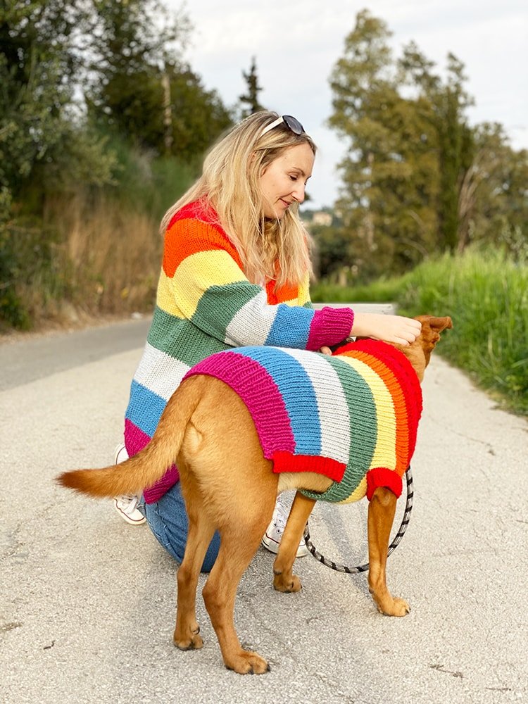 rainbow sweater and dog sweater