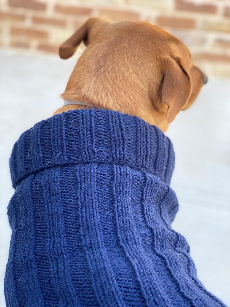 ribbed knit dog sweater