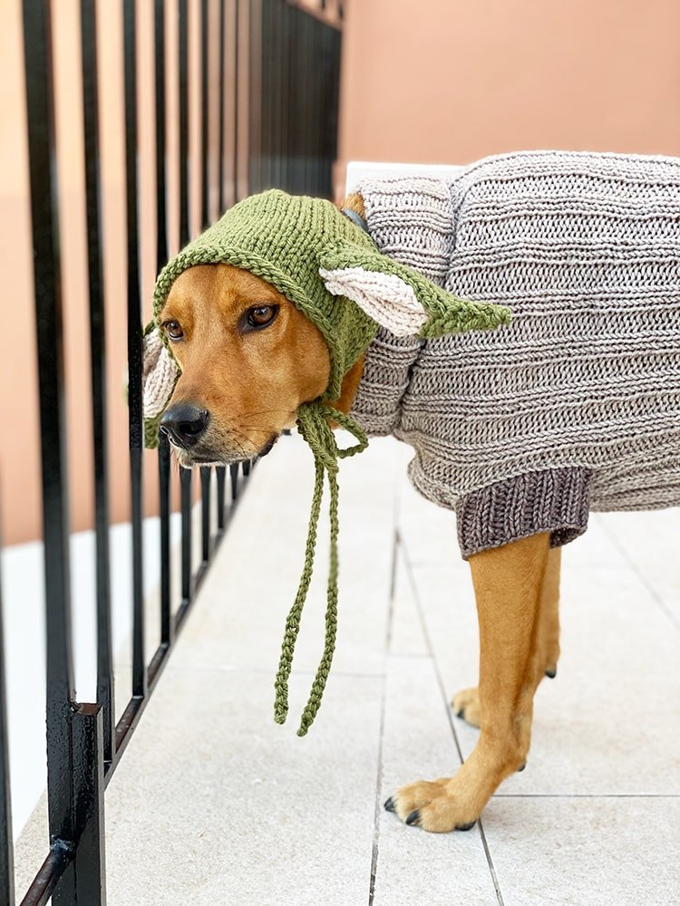 the-child-dog-sweater-costume