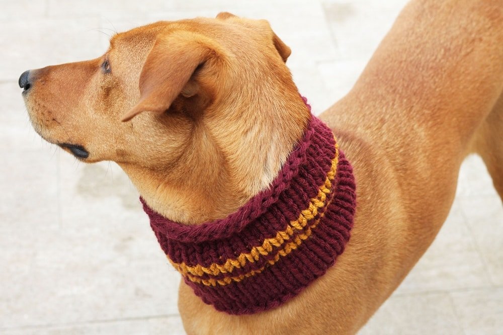 Dog Cowl Knitting Pattern - Handy Little Me Shop